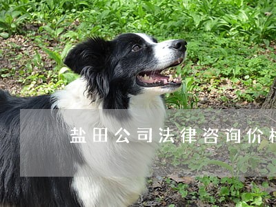 盐田公司法律咨询价格 盐田公司法律咨询价格