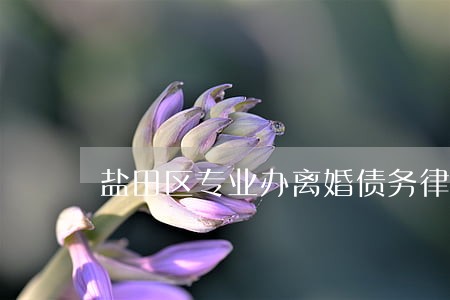 盐田区专业办离婚债务律师 盐田区专业办离婚债务律师
