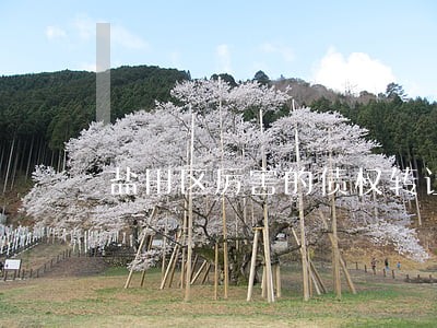 盐田区厉害的债权转让律师电话 盐田区厉害的债权转让律师电话