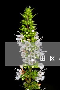 盐田区机构常年法律顾问 盐田区机构常年法律顾问