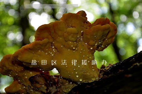 盐田区法律援助办 盐田区法律援助办