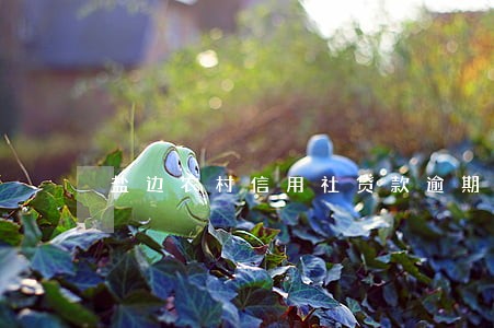 盐边农村信用社贷款逾期一天 盐边农村信用社贷款逾期一天