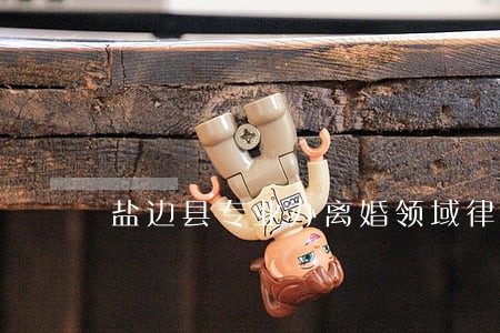 盐边县专业办离婚领域律师哪个好 盐边县专业办离婚领域律师哪个好