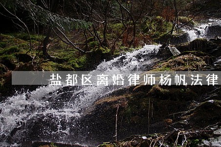 盐都区离婚律师杨帆法律咨询 盐都区离婚律师杨帆法律咨询
