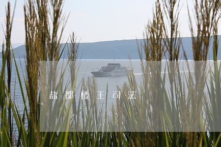 盐都楼王司法 盐都楼王司法