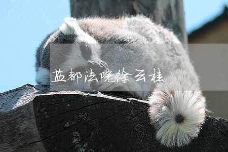 盐都法院徐云桂 盐都法院徐云桂