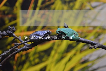 盐都法院执行庭 盐都法院执行庭