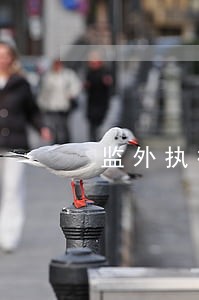 监外执行信用卡逾期了 监外执行信用卡逾期了