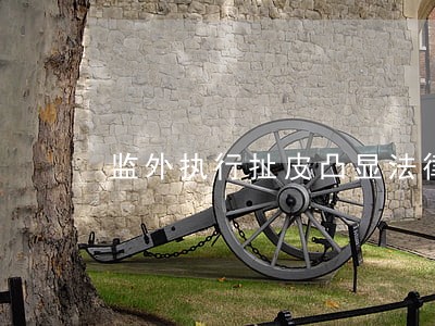 监外执行扯皮凸显法律断层 监外执行扯皮凸显法律断层