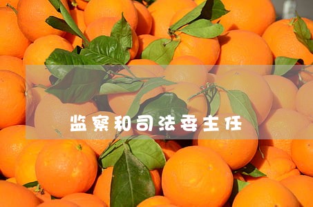 监察和司法委主任