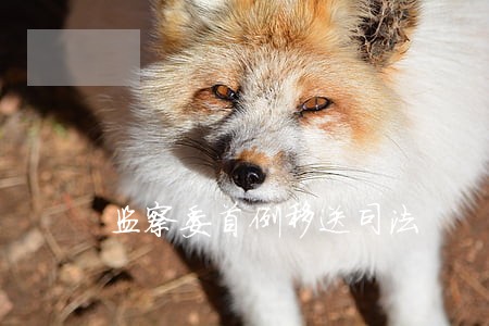 监察委首例移送司法 监察委首例移送司法