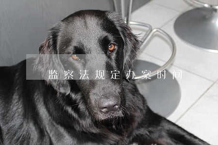 监察法规定办案时间