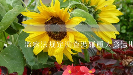 监察法规定调查涉嫌重大贪污期限 监察法规定调查涉嫌重大贪污期限