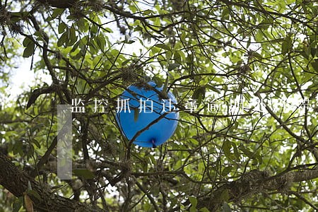 监控抓拍违章逾期处理带滞纳金吗 监控抓拍违章逾期处理带滞纳金吗