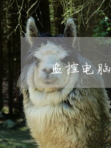 监控电脑违法不 监控电脑违法不