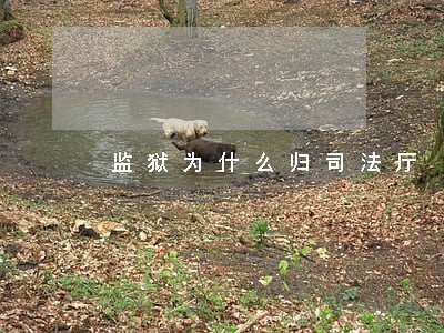 监狱为什么归司法厅 监狱为什么归司法厅