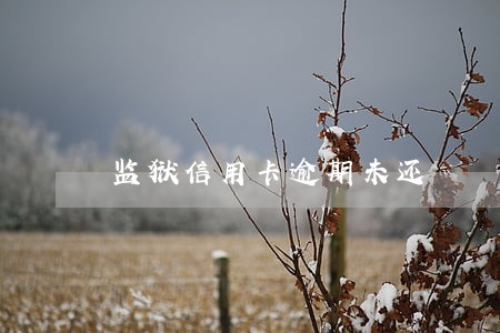监狱信用卡逾期未还 监狱信用卡逾期未还