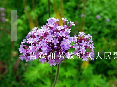 监狱和劳教机关人民警察违法 监狱和劳教机关人民警察违法