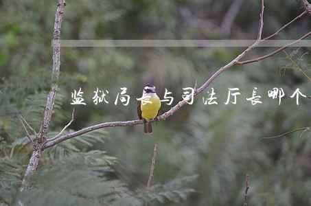 监狱局长与司法厅长哪个大 监狱局长与司法厅长哪个大