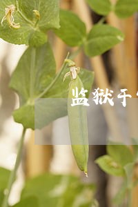 监狱干警到司法局挂职好吗