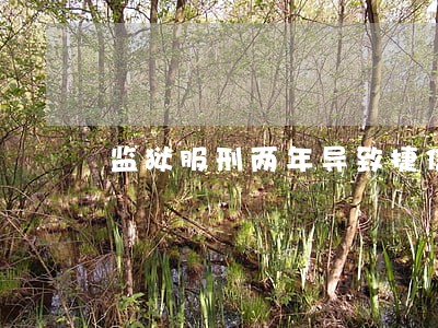 监狱服刑两年导致捷信逾期 监狱服刑两年导致捷信逾期