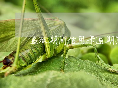监狱期间信用卡逾期怎么处理 监狱期间信用卡逾期怎么处理