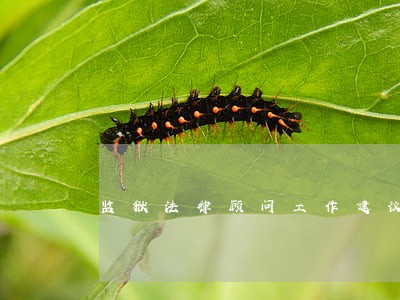 监狱法律顾问工作建议