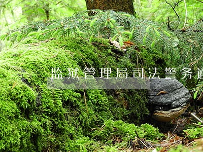 监狱管理局司法警务通中标结果 监狱管理局司法警务通中标结果
