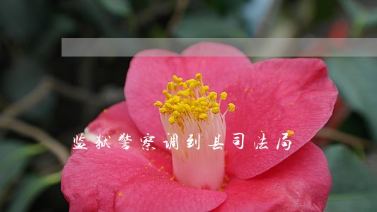 监狱警察调到县司法局 监狱警察调到县司法局
