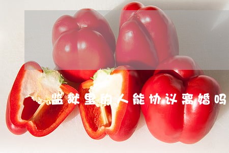 监狱里的人能协议离婚吗 监狱里的人能协议离婚吗