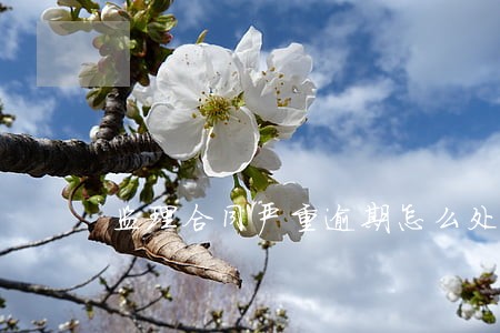 监理合同严重逾期怎么处理 监理合同严重逾期怎么处理