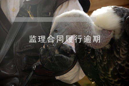 监理合同履行逾期 监理合同履行逾期