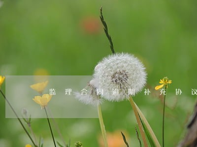 监理合同逾期补充协议范本 监理合同逾期补充协议范本