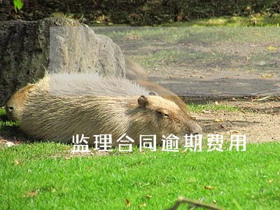 监理合同逾期费用 监理合同逾期费用