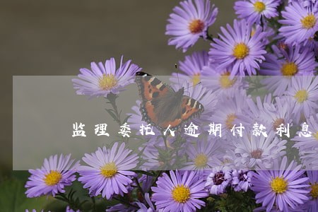 监理委托人逾期付款利息计算 监理委托人逾期付款利息计算