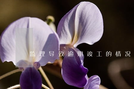 监理导致逾期竣工的情况 监理导致逾期竣工的情况