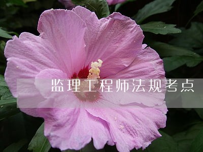 监理工程师法规考点 监理工程师法规考点
