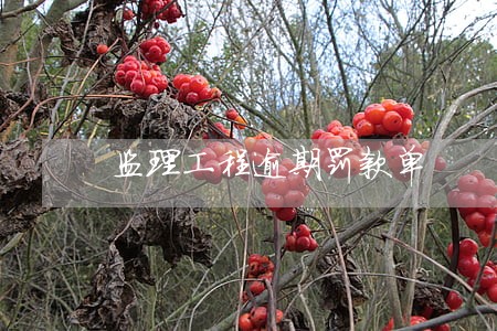 监理工程逾期罚款单 监理工程逾期罚款单