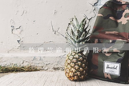 监理款逾期申请报告 监理款逾期申请报告