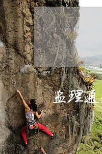 监理通知单逾期 监理通知单逾期