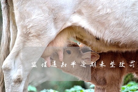 监理通知单逾期未整改罚款 监理通知单逾期未整改罚款