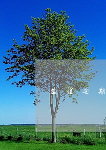 监理逾期初始注册流程 监理逾期初始注册流程