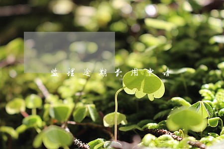 监理逾期费用申请 监理逾期费用申请