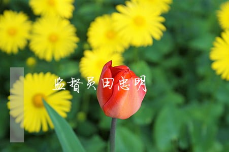 监督员田忠明 监督员田忠明