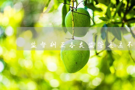监督纠正各类监管违法不当行为 监督纠正各类监管违法不当行为