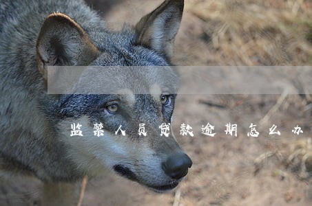 监禁人员贷款逾期怎么办 监禁人员贷款逾期怎么办