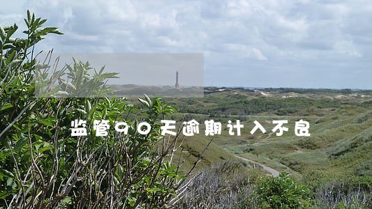 监管90天逾期计入不良 监管90天逾期计入不良