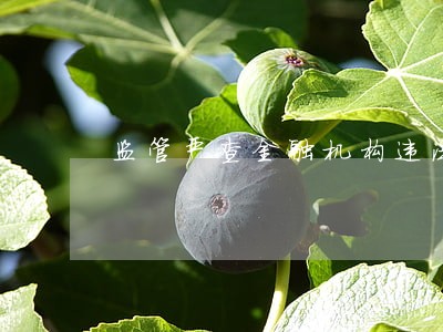 监管严查金融机构违法违规行为 监管严查金融机构违法违规行为