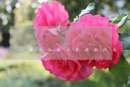 监管五级分类逾期时间2019 监管五级分类逾期时间2019