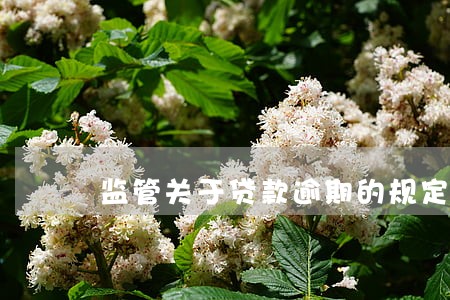 监管关于贷款逾期的规定 监管关于贷款逾期的规定